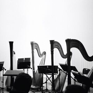 Behavior - Spirits & Embellishments  LP LP